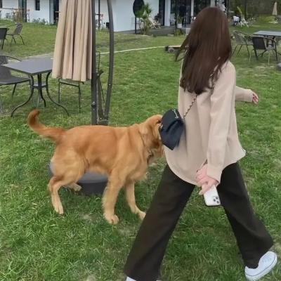 极限特工:终极回归